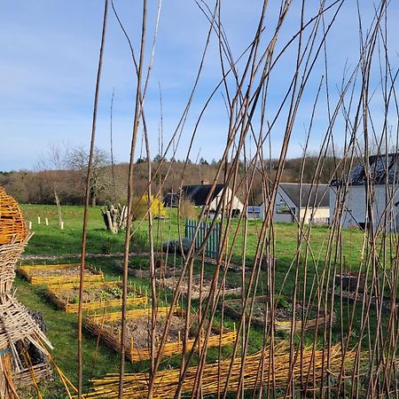 Bulle De Campagne A Saint Benoit La Foret Eksteriør billede