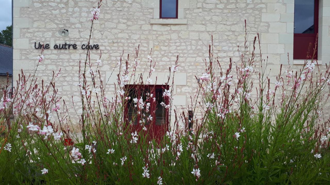 Bulle De Campagne A Saint Benoit La Foret Eksteriør billede