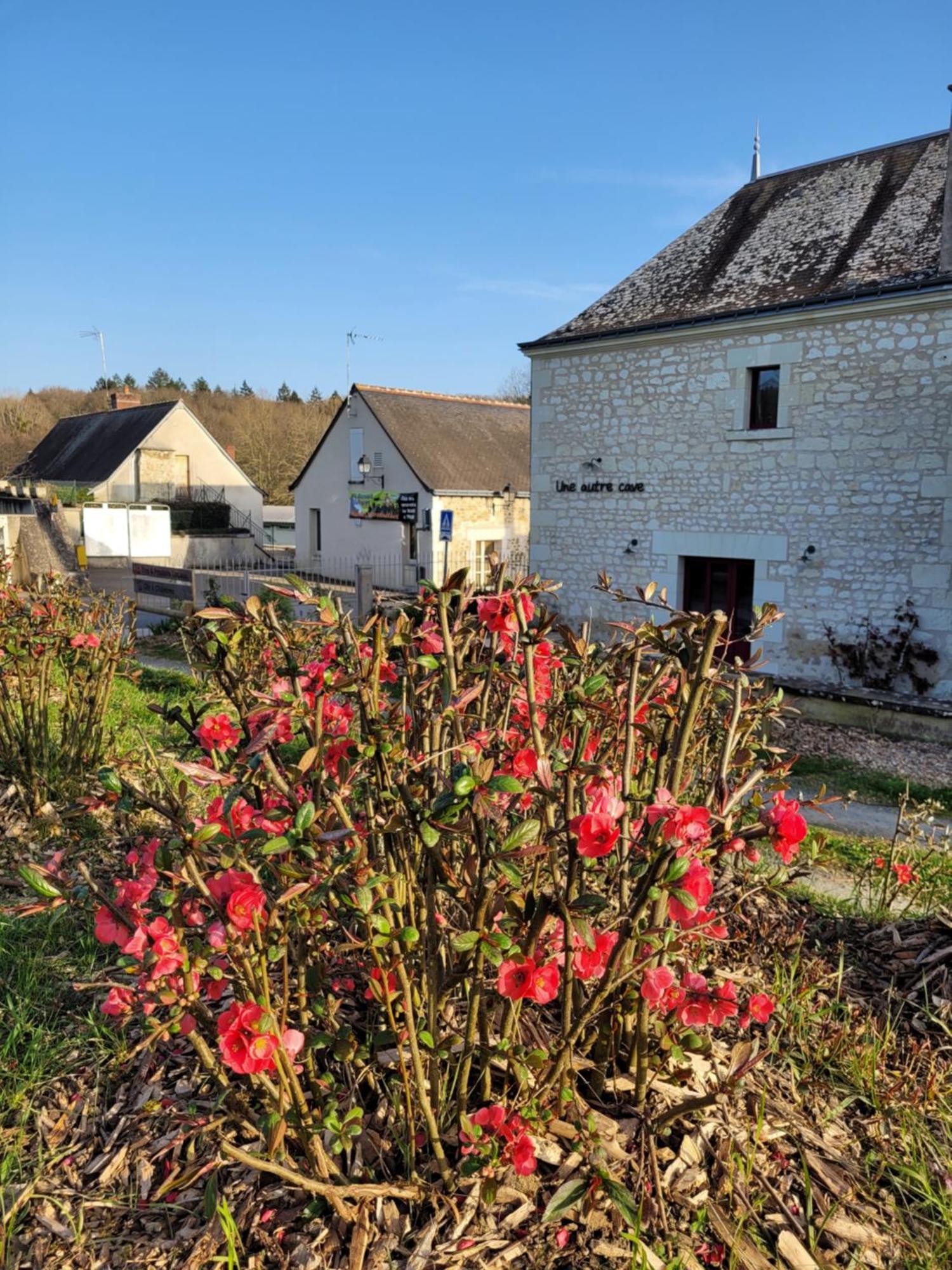 Bulle De Campagne A Saint Benoit La Foret Eksteriør billede