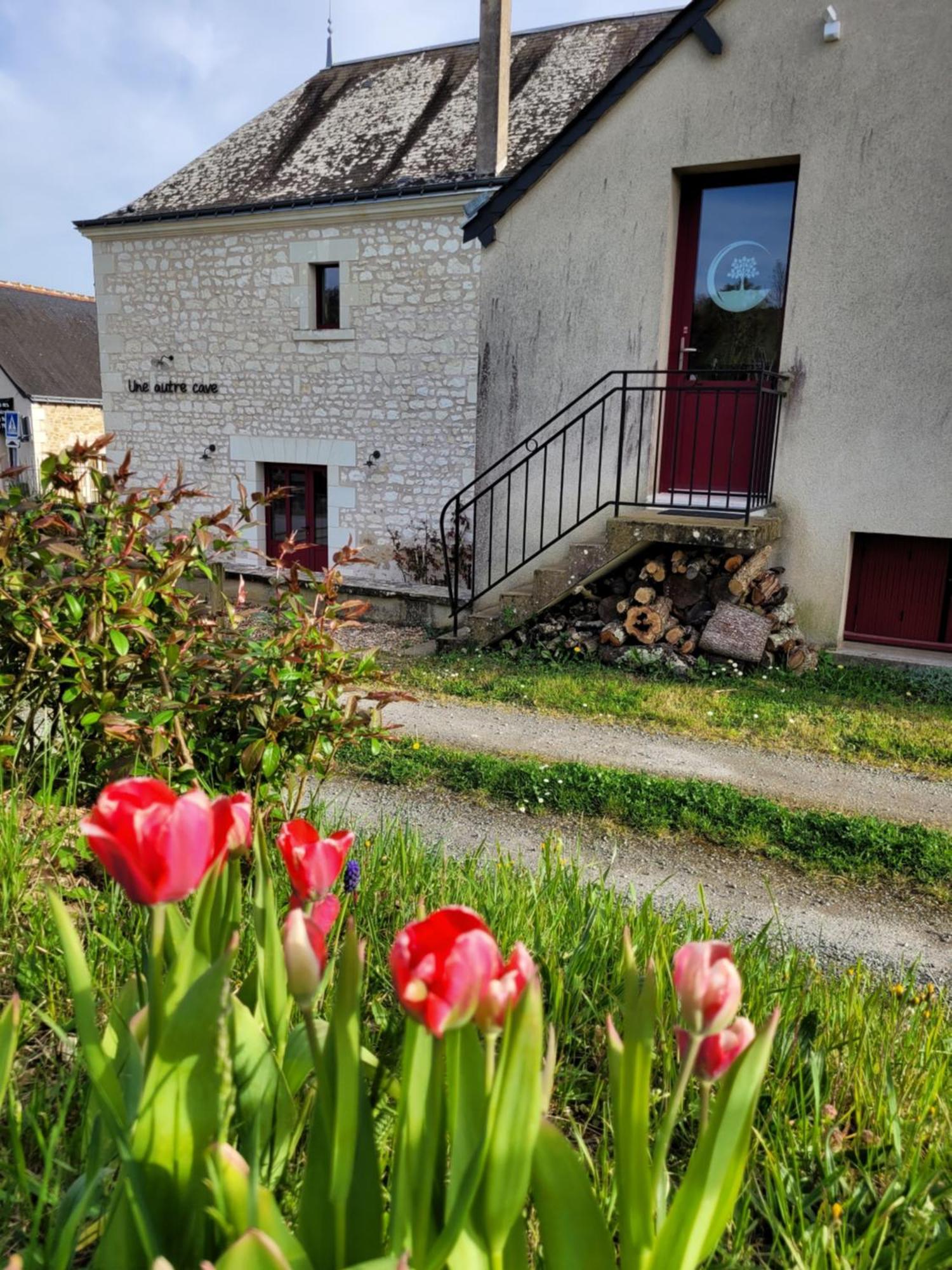 Bulle De Campagne A Saint Benoit La Foret Eksteriør billede