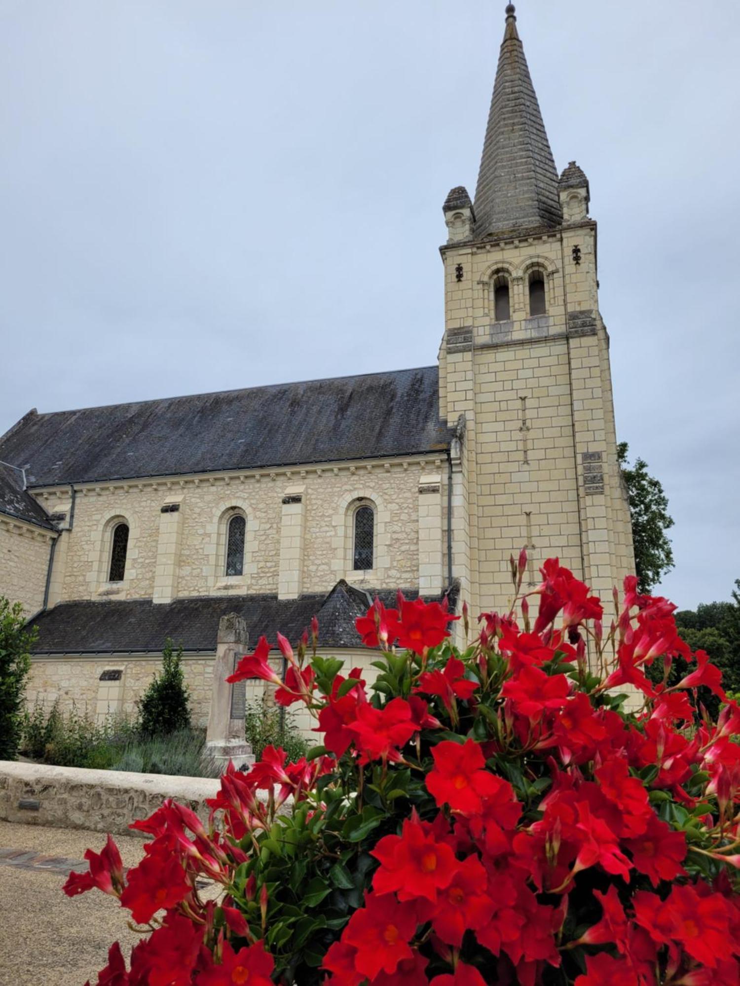 Bulle De Campagne A Saint Benoit La Foret Eksteriør billede